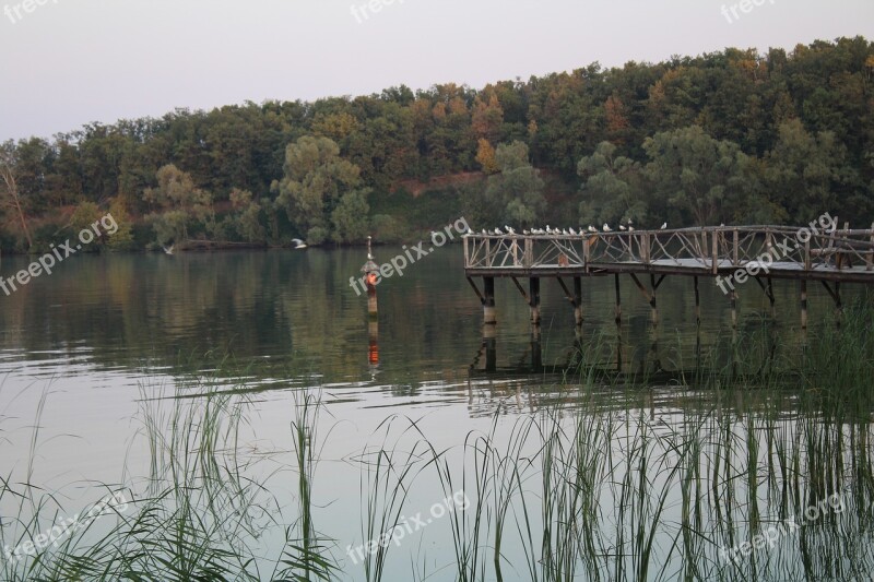 River Pokoj Silence Reflection Beauty