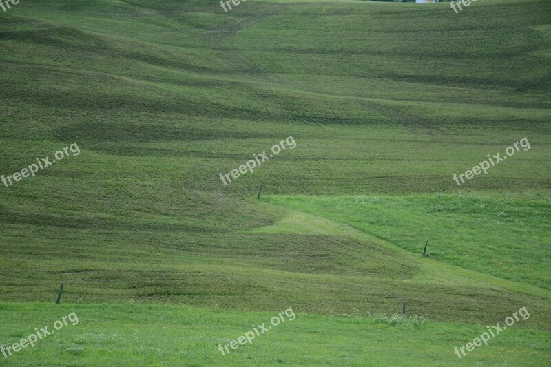 Prato Grass South Tyrol Velvet Free Photos