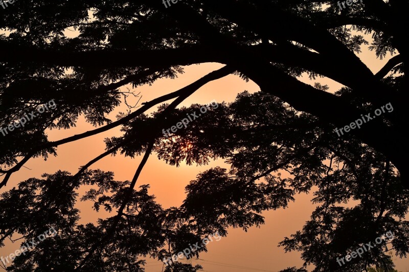 Morning Silhouetted Sunrise Peaceful Scenic