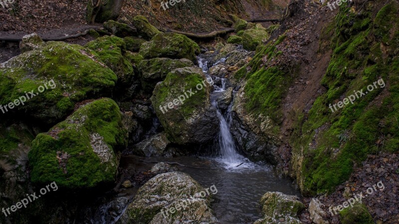 Gorge Moss Nature Damp Free Photos