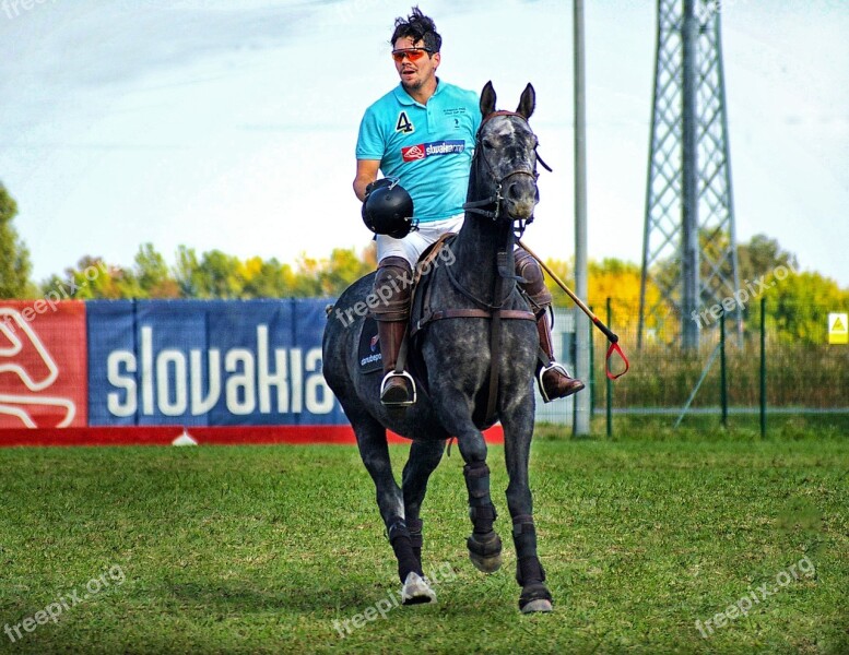 Horse Polo Horse Polo Sports Competition