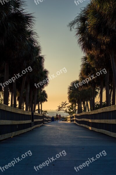 Beach Boardwalk Sunset Palm Trees Walkway