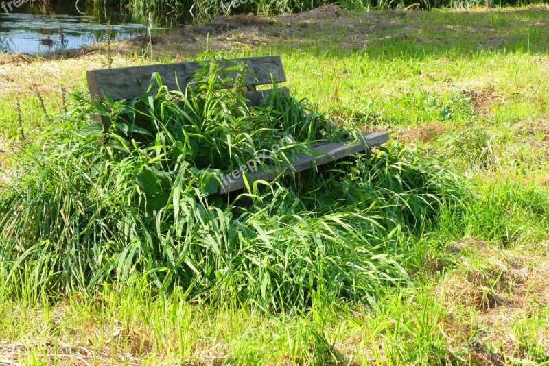 Weeds Overgrow Bank Body Kits Sit