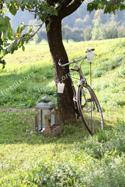 Velo Retro Vintage Garden Free Photos