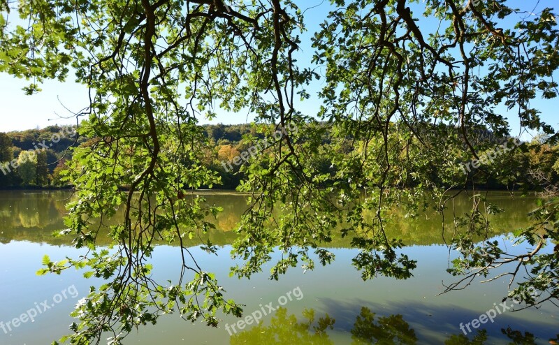 Park Lake Mirroring Greiz Free Photos