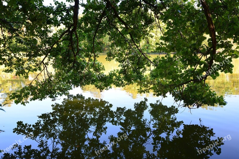 Park Park Lake Greiz Mirroring Free Photos