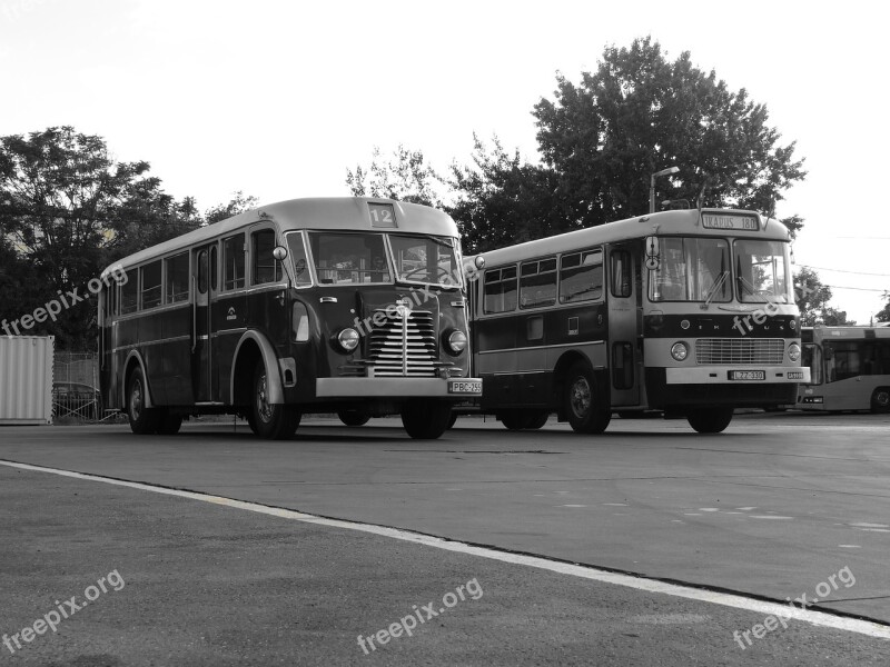 Bus Nostalgia Retro Vehicle Travel