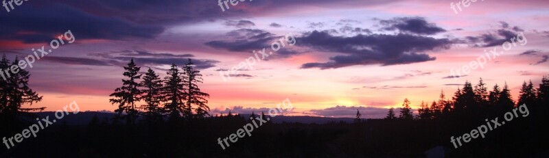 Sunset Clouds Trees Tree Silhouette Sky