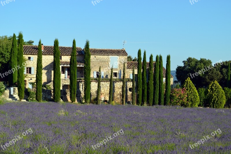 Landscape Provence Lavender France Nature