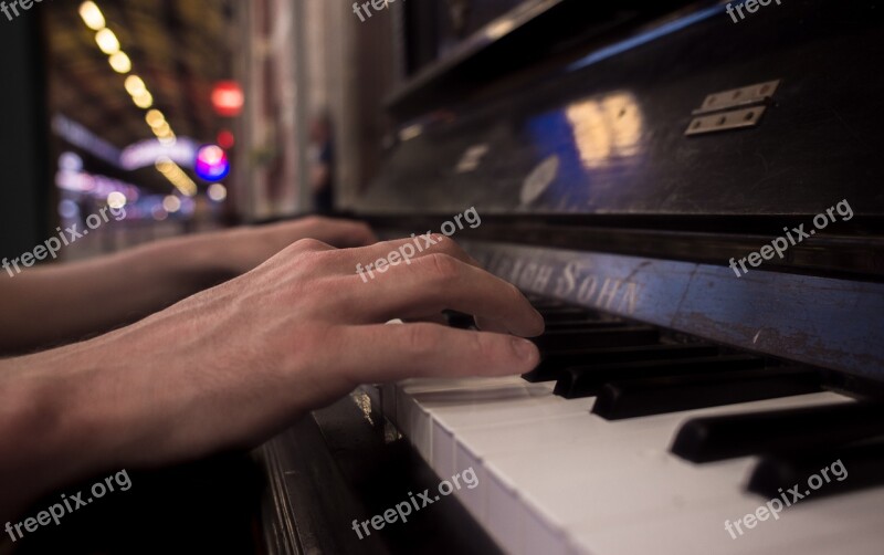 Playing Piano Hands Person Instrument