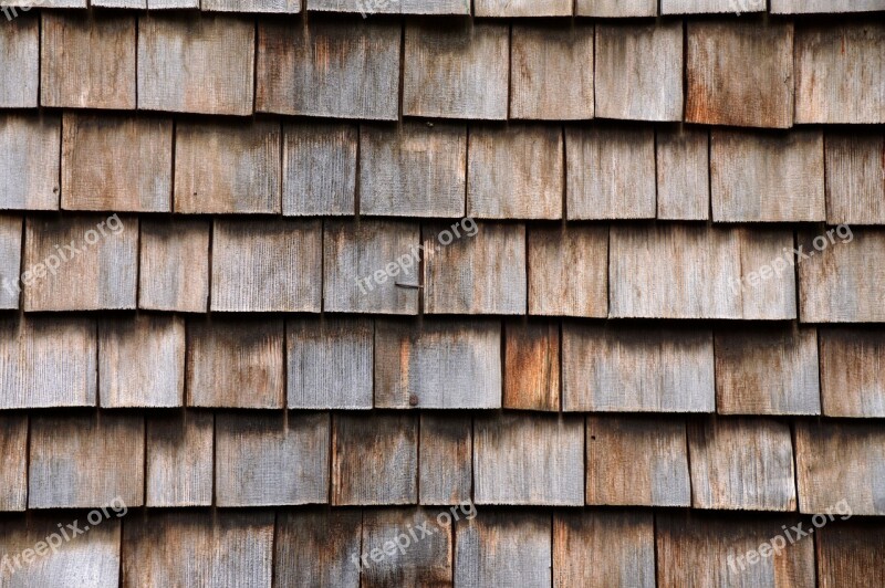 Texture Wood Grain Shingle Wood Grain