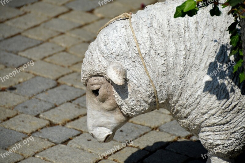 Sheep Sheepshead Figure Gypsum Head