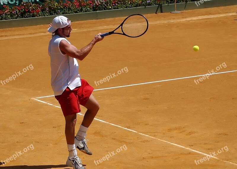 Tennis Tennis Player Tennis Court Sport Match