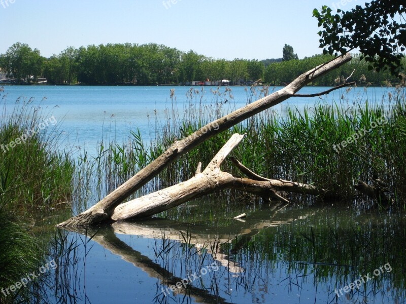 Lake Water Landscape Nature Reflection