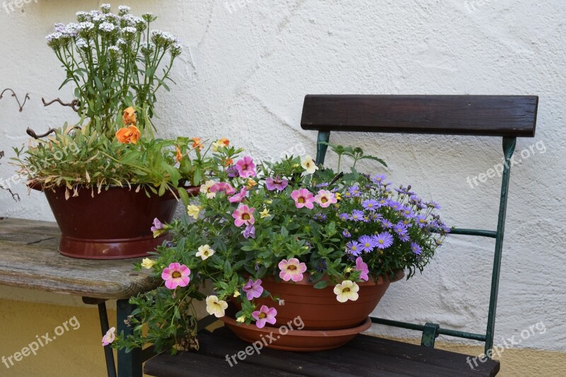 Decoration Still Life Flowers Flower Bowl Rural