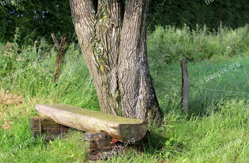 Bank Wooden Bench Bench Seat Nature