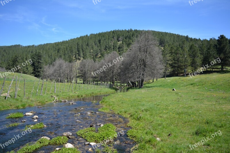 Landscape Sila Spring River Free Photos