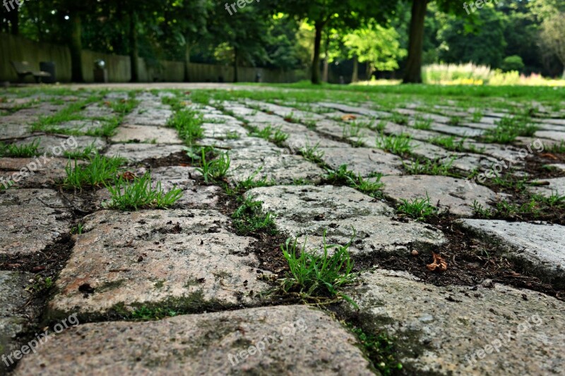 Stone Cobblestone Cobbles Street Walkway