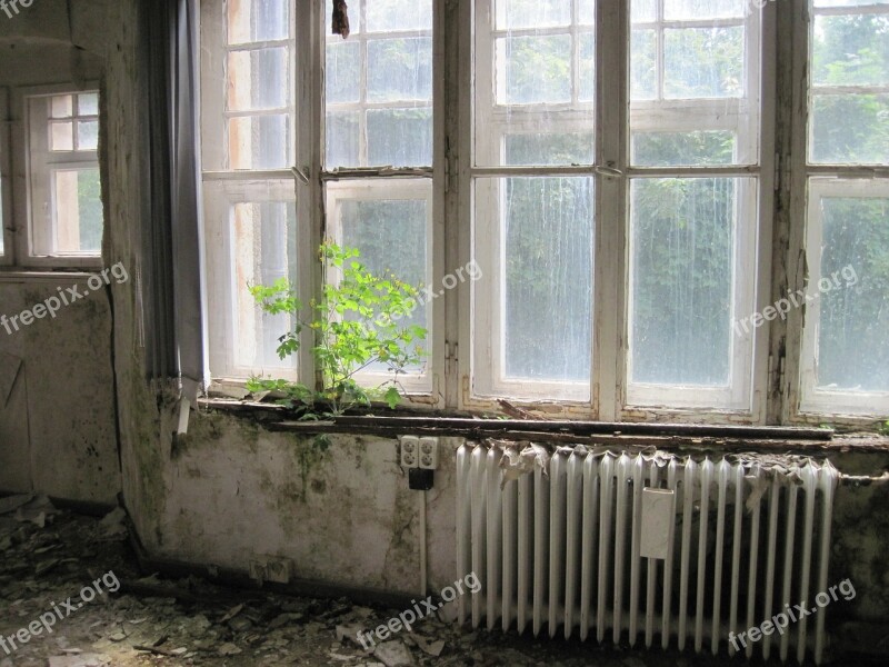 Room Window Heating Plant Old