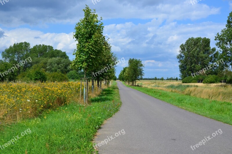 Landscape Nature Trail Cycle Path Trees