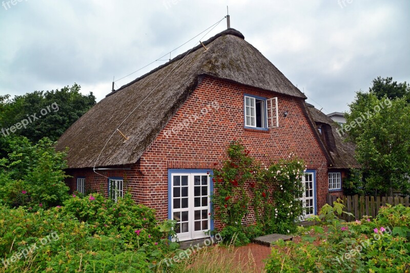 House Thatched Roof Baltic Sea Thatched Reed