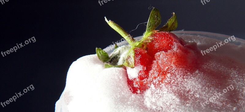 Appetizing Berry Delicate Delicious Ice