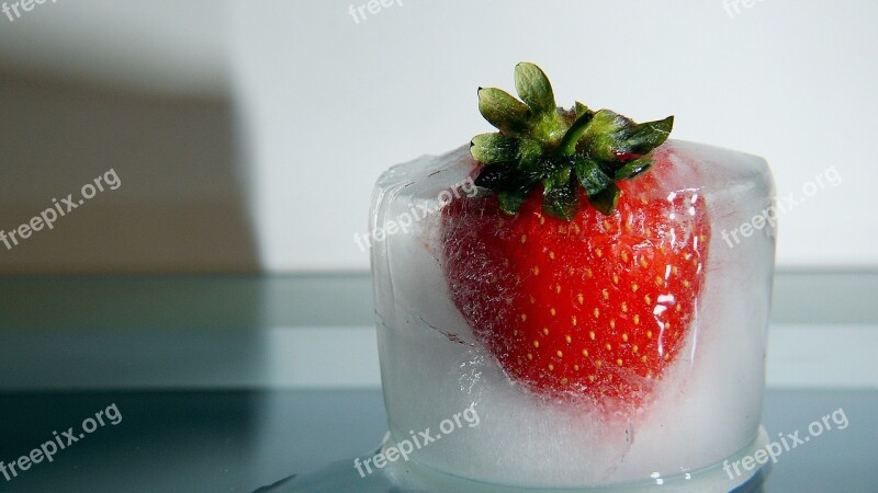 Appetizing Berry Delicate Delicious Ice