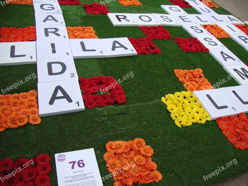 Crossword Flower Carpet Flower Art Free Photos