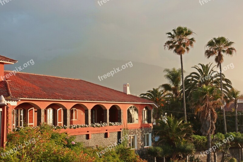 Villa Spanish Characteristic Palm Trees Tenerife