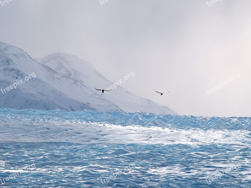 Chile Glacier Patagonia Flock Travel