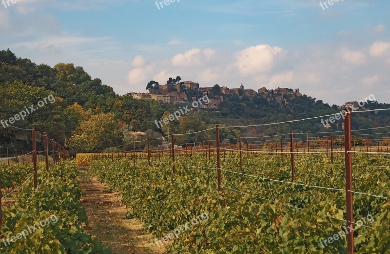 Vineyard Wine Winegrowing Landscape Provence