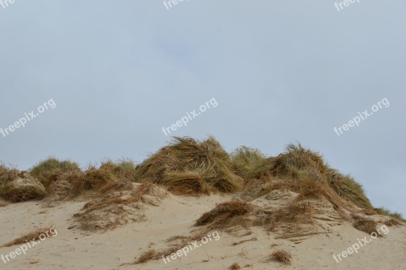 Dune Sand Blue Sky Free Photos