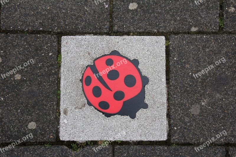 Concrete Slab Deco Ladybug Free Photos