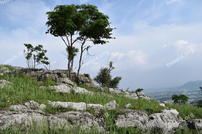 Trees Rock Mountain Climbing Tangshan Chaohu