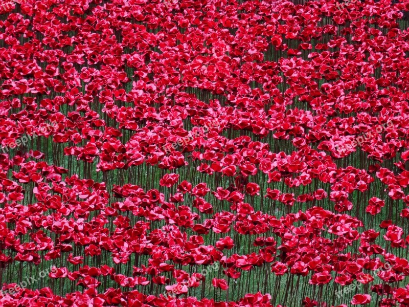 Poppies World War I Memory Ceramics Installation