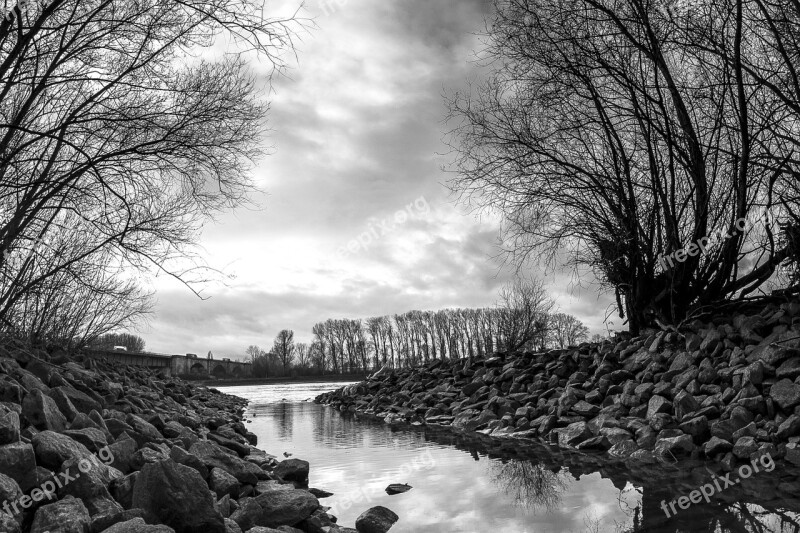 River Rhine Black And White Water Aue