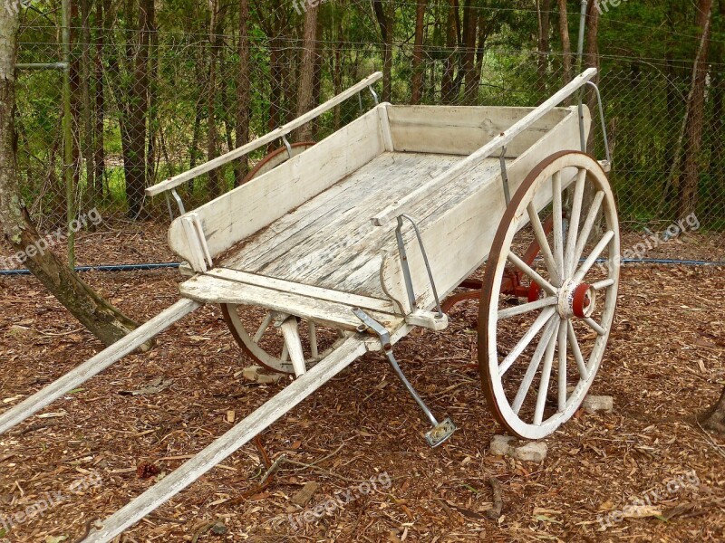 Buggy Cart Horse Two Wheel Vehicle