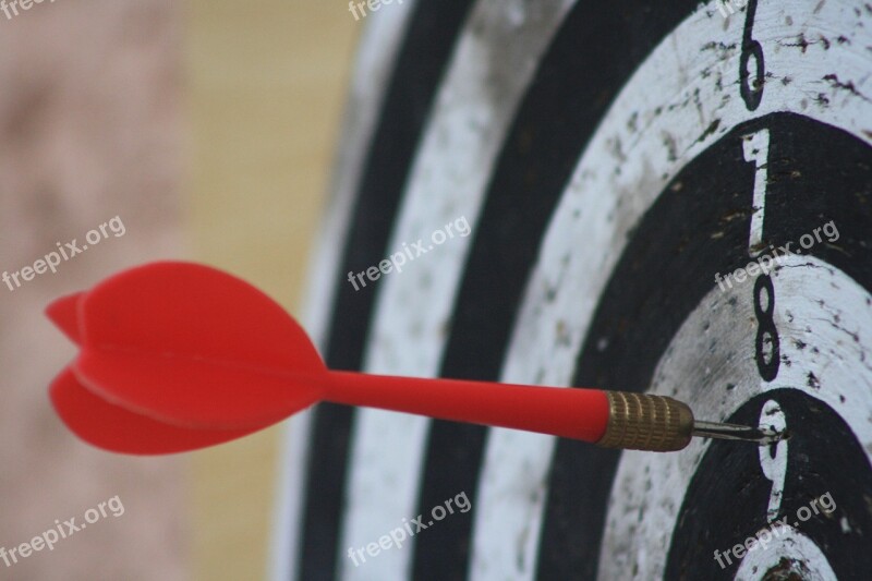 Success Objective Target Dart Expert