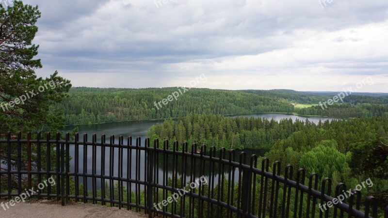 Finnish Landscape Lake Forest Summer