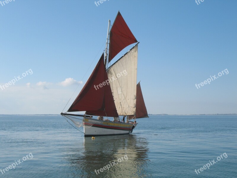 Guadeloupe Sea Coconut Caribbean Exotic