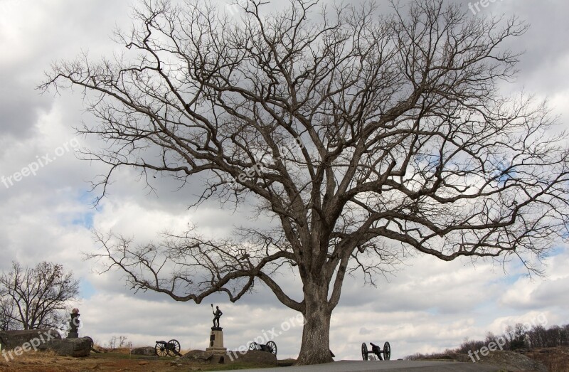 Gettysburg Pennsylvania Cannon Tree Statue