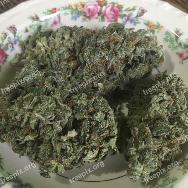 Caramel Cream Indica Marijuana Mary Jane Medicine