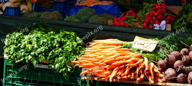 Vegetables Carrots Salad Radishes Market