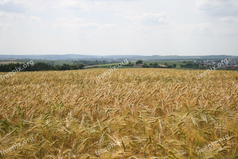 View Meadow Landscape Nature Panorama