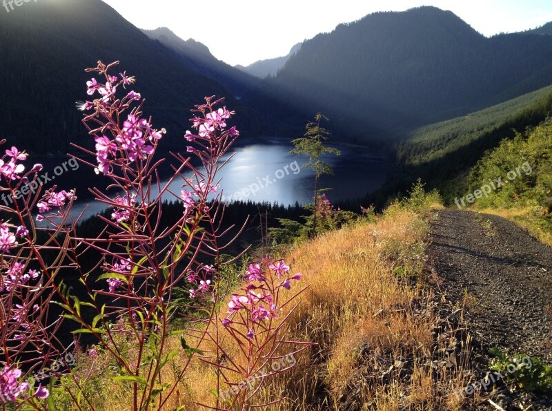 Mountain Lake Mountain Lake Wildflowers Nature