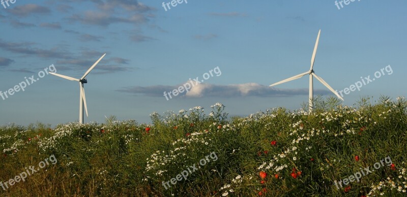 Wind Turbine Landscape Summer Natural Denmark