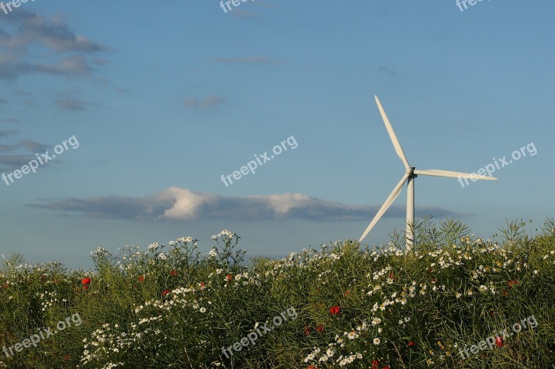 Wind Turbine Landscape Summer Natural Denmark