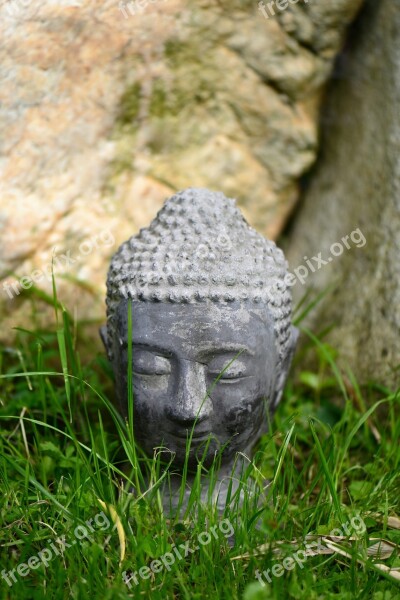 Buddha Head Grass Garden Meadow Free Photos