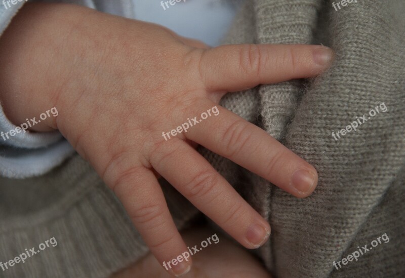 Hand Baby Child Infant Free Photos