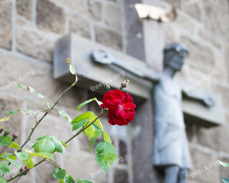 Rose Cross Jesus Christ Faith